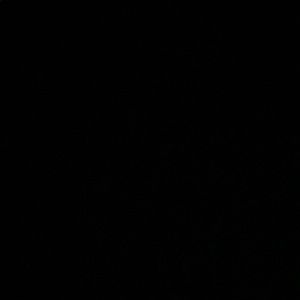 Meet your Posher, Bailey